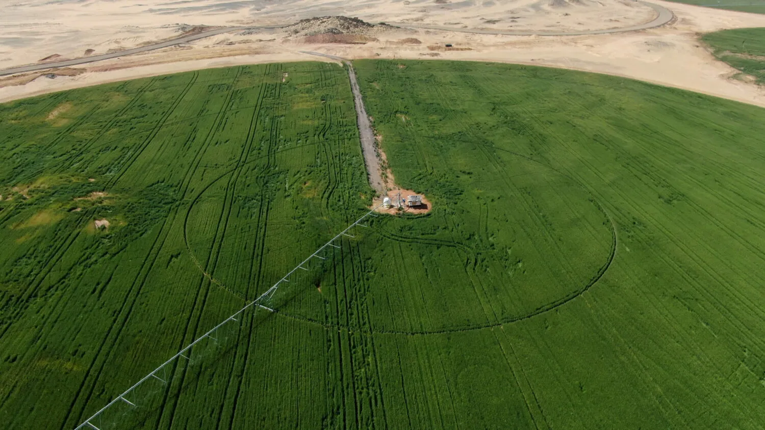 Center-pivot irrigation system watering lush green fields in the Toshka region